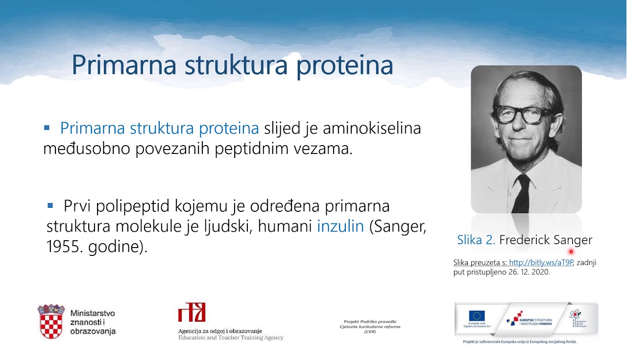 Kemija 4.r SŠ - Proteini