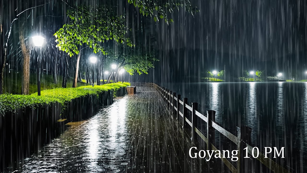 Sleep Soundly Tonight with Gentle Rain on a Quiet Night Road | ASMR Rain Sounds for Deep Sleep