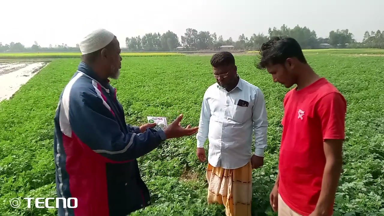 আলু চাষ ভালো করতে ওজেব ব্যবহার করুন সুস্থ থাকুন ইঞ্জিনিয়ার এম এস এইচ সাইফুল ইসলাম। কুতুব পুর নাগেরহা