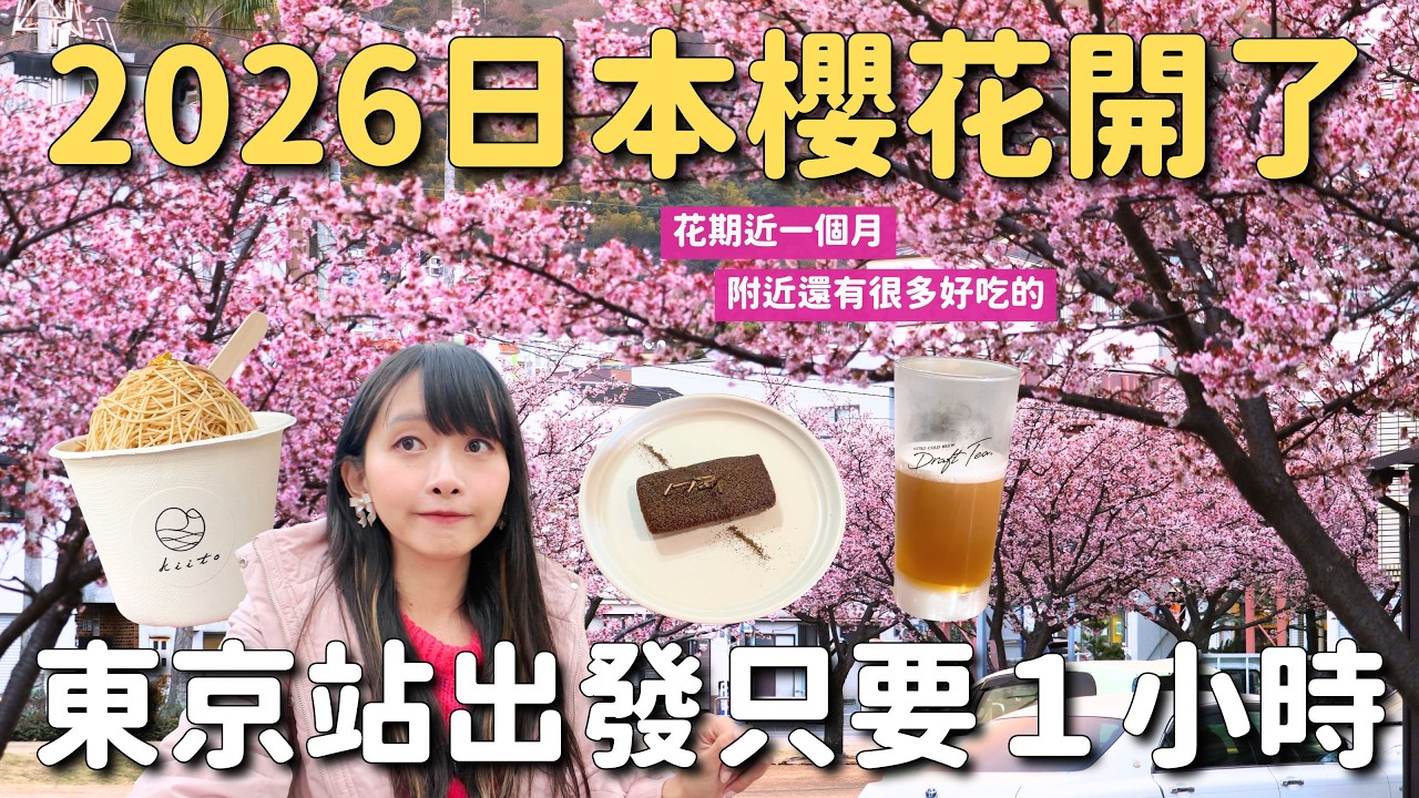 2026日本櫻花開了🌸熱海櫻盛開中 賞櫻一日遊｜東京出發約1小時｜糸川遊步道 渚小公園｜東京近郊 4K VLOG