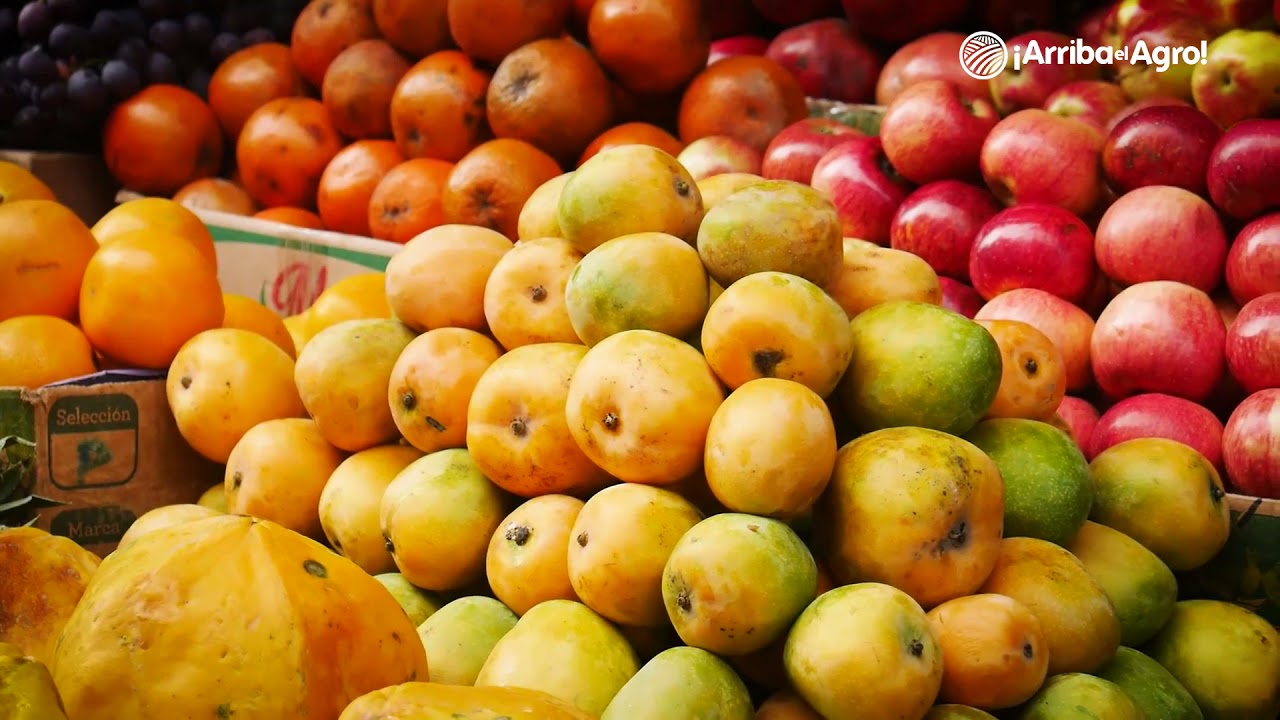 Chulucanas: Los Reyes del Mango