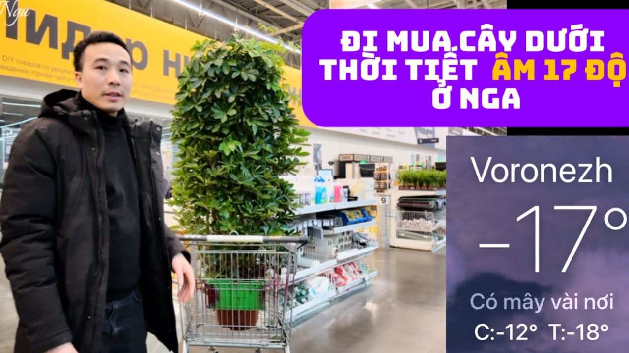 ĐI THĂM CỬA HÀNG BÁN VẬT LIỆU XÂY DỰNG VÀ MUA CÂY DƯỚI NHIỆT ĐỘ -17 độ C Ở NGA!