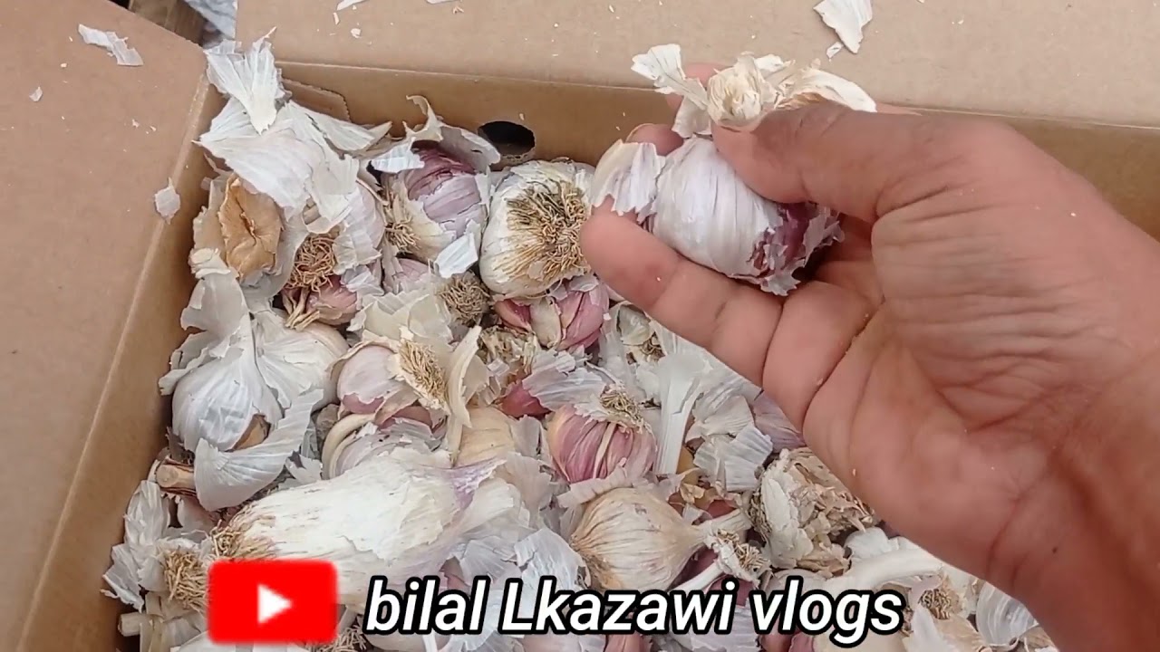 كيفاش كندوز النهار ديالي في الخدمه في البيع والشراء توما 🧄🙂