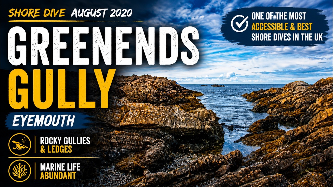 Diving Greenends Gully in Eyemouth | August 2020
