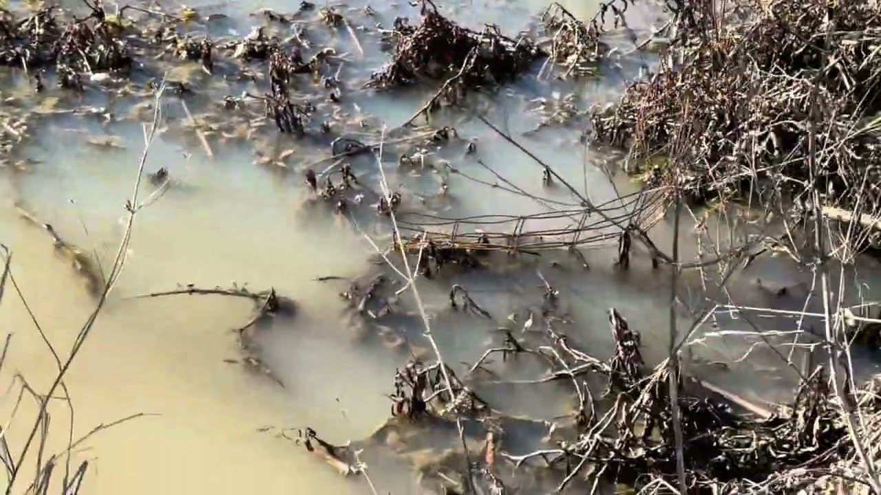 Getting started in Arkansas trying new stuff 