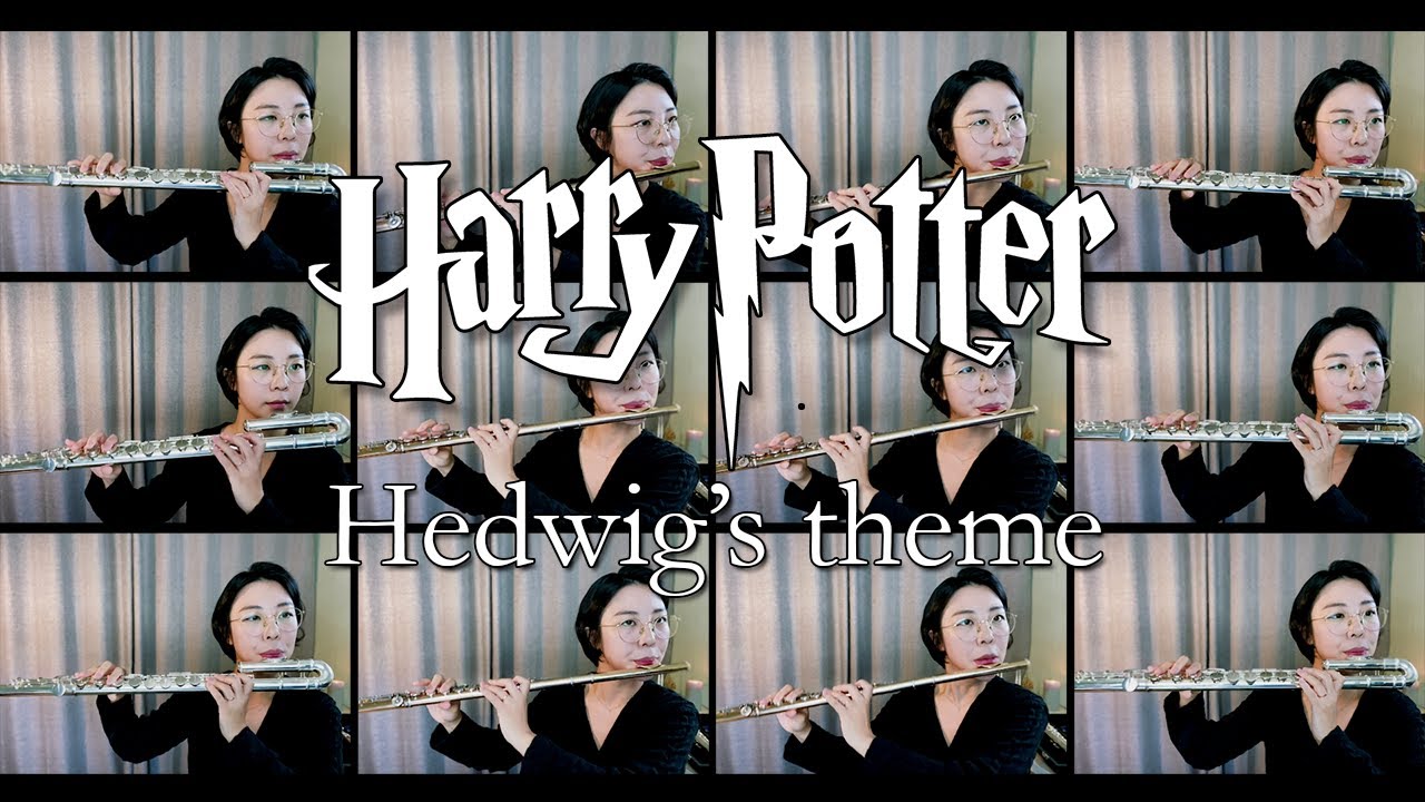 Harry Potter ost : Hedwig's theme | 해리포터 ost