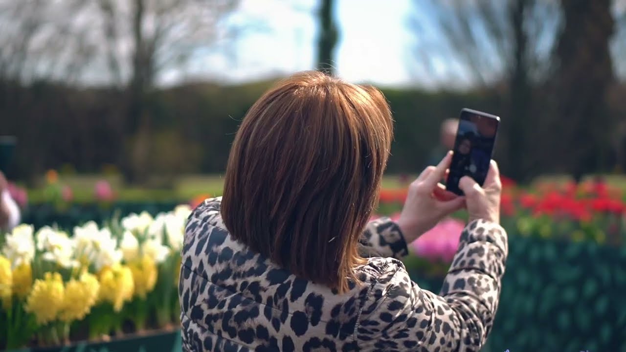 Al Parco Giardino Sigurtà: un gigantesco quadro dove i colori sono creati con i tulipani