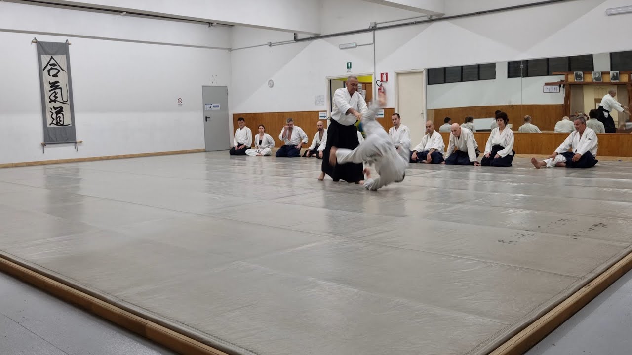 Stage di Aikido - Vittorio Locandro - Torino, 10-05-25 - Completo pomeriggio
