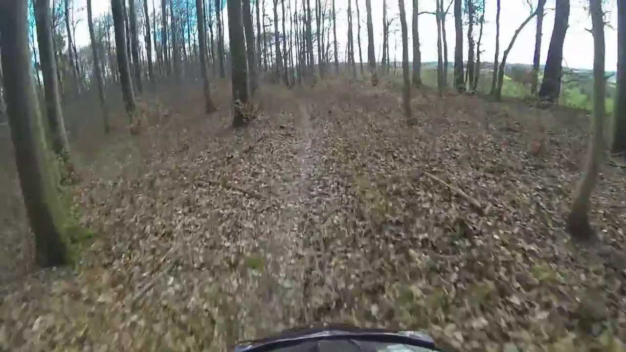 Biken im Wald