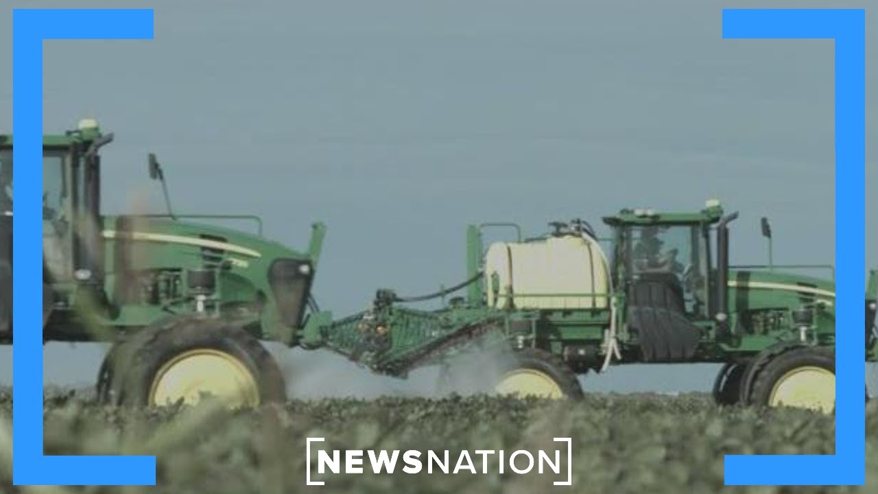 What Trump's $12B aid package means for America's farmers | Morning in America