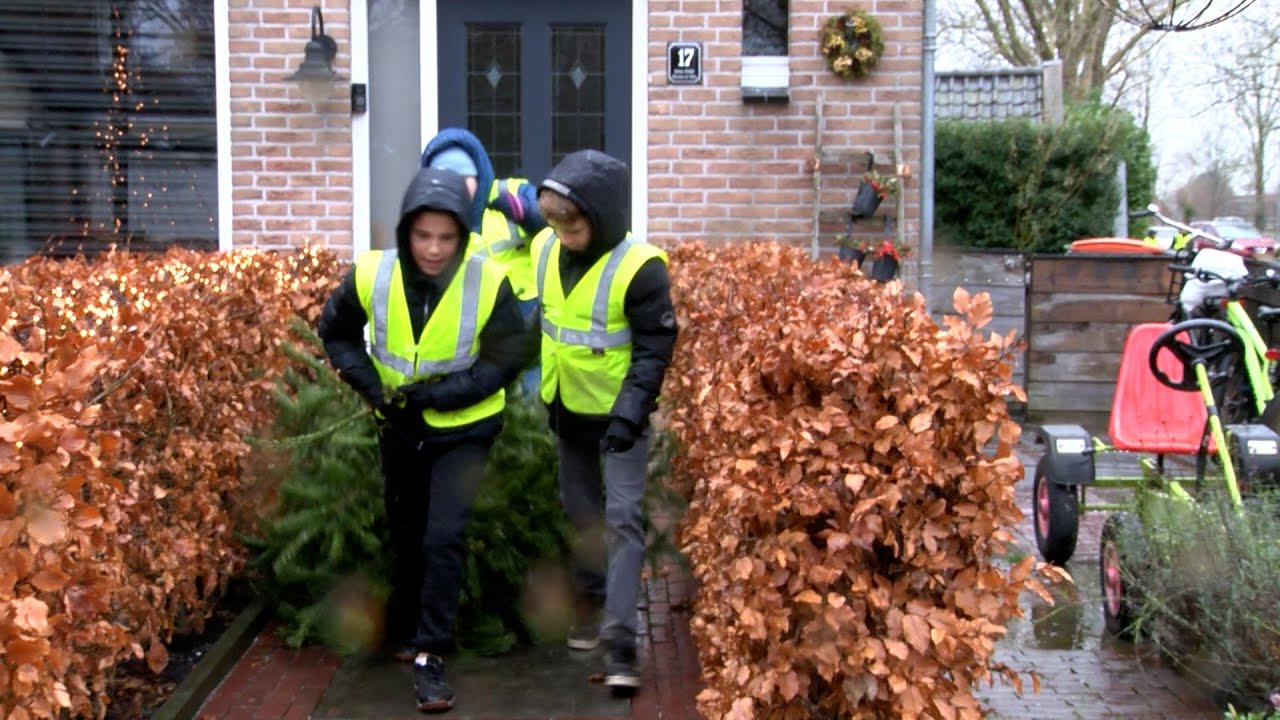 Kerstboomophalers Ilpendam druk in de weer voor Sport- en Spelweek