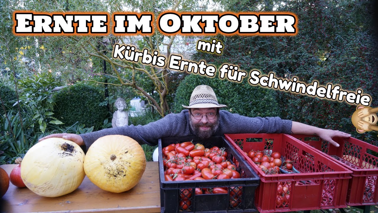 Ernte im Oktober beim Garten Gysi