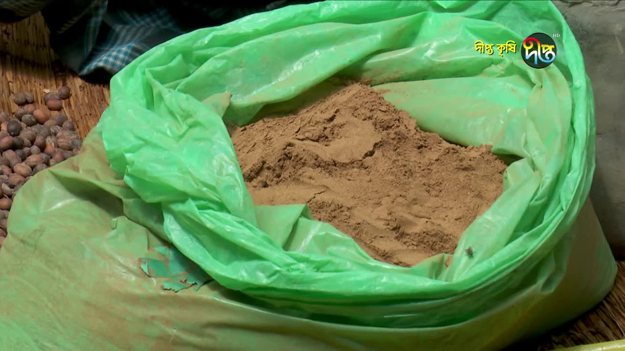 Deepto Krishi/দীপ্ত কৃষি -কফি চাষ /নীলফামারী, পর্ব ৩৩০