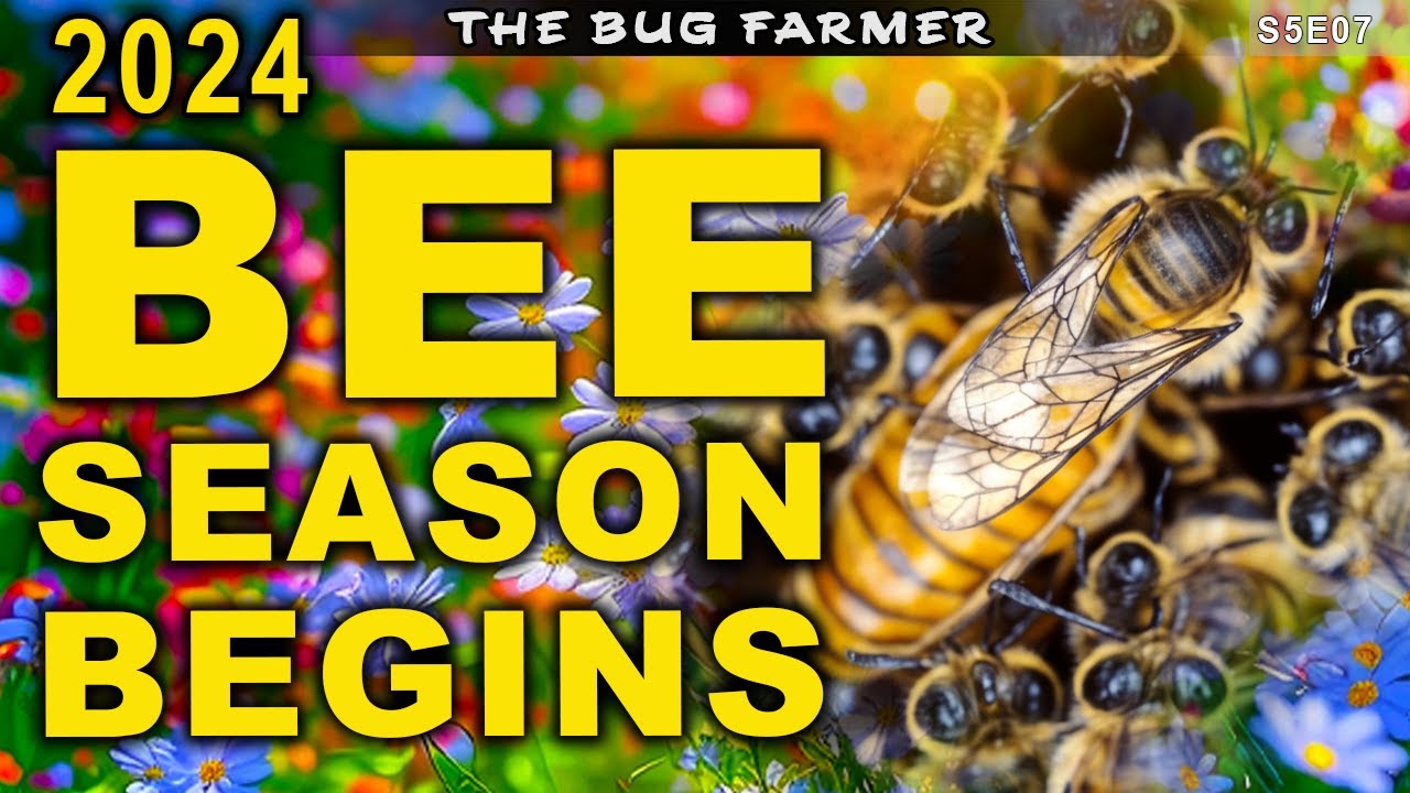 Did the Bee Barns Survive Winter | 2024 season starts today!  #beekeeping #bees #beekeeping101