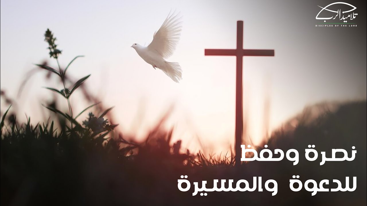 نصرة وحفظ للدعوة والمسيرة | ق. رامي سامي