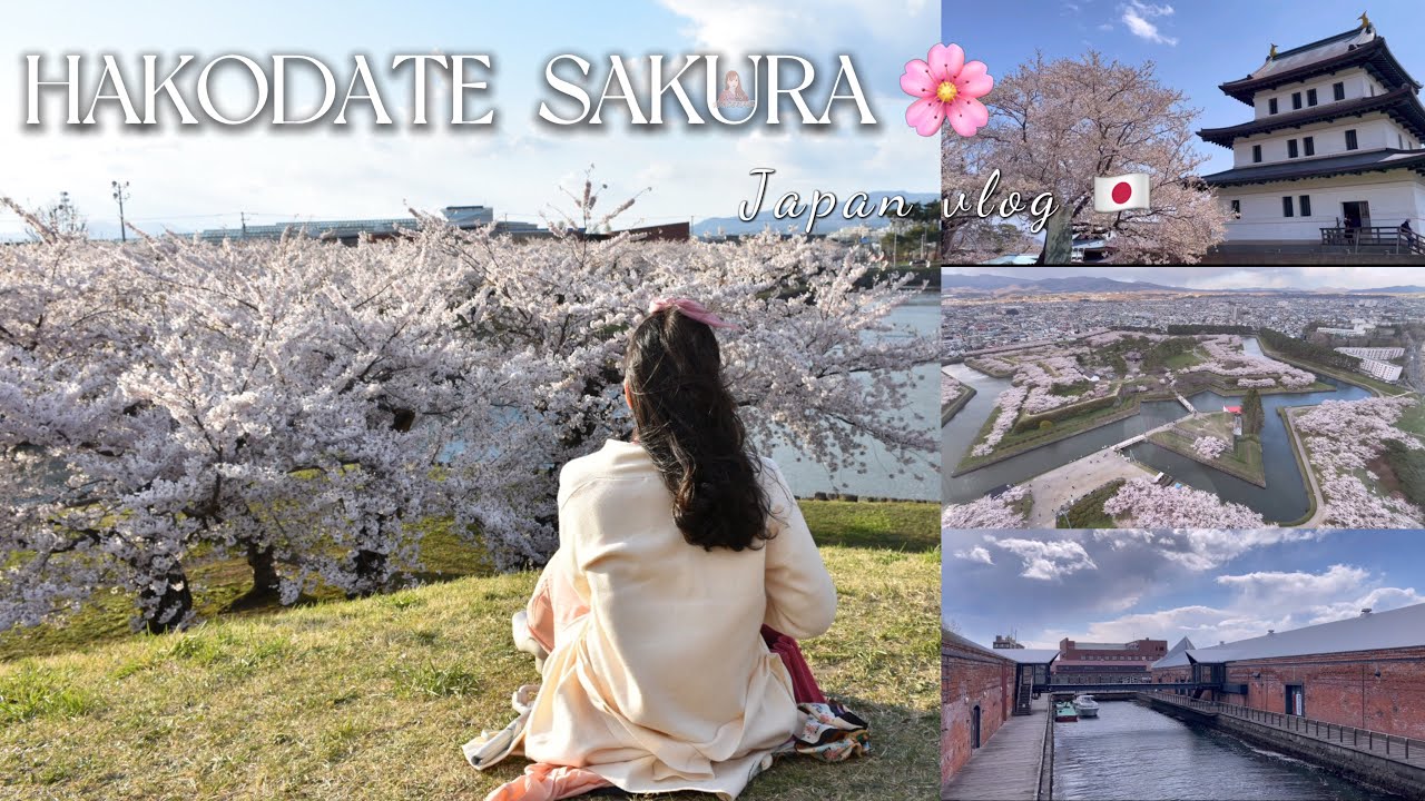 Hakodate Sakura Trips Part 2🇯🇵 / พาชมปราสาทช่วงซากุระ ดูวิวสวนซากุระ Goryokuku เดินดูร้านขายของฝาก