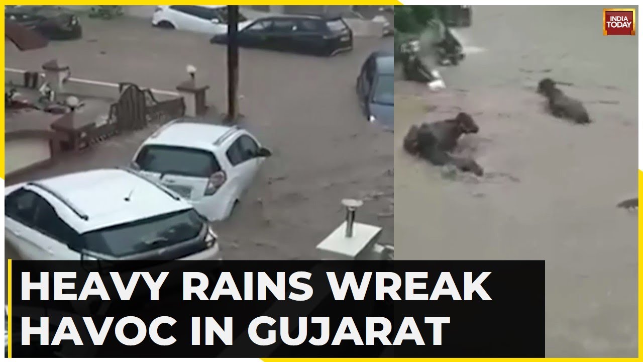Monsoon News: Heavy Rains Wreak Havoc In Gujarat Which Triggered Flash Floods, Vehicles Washed Away