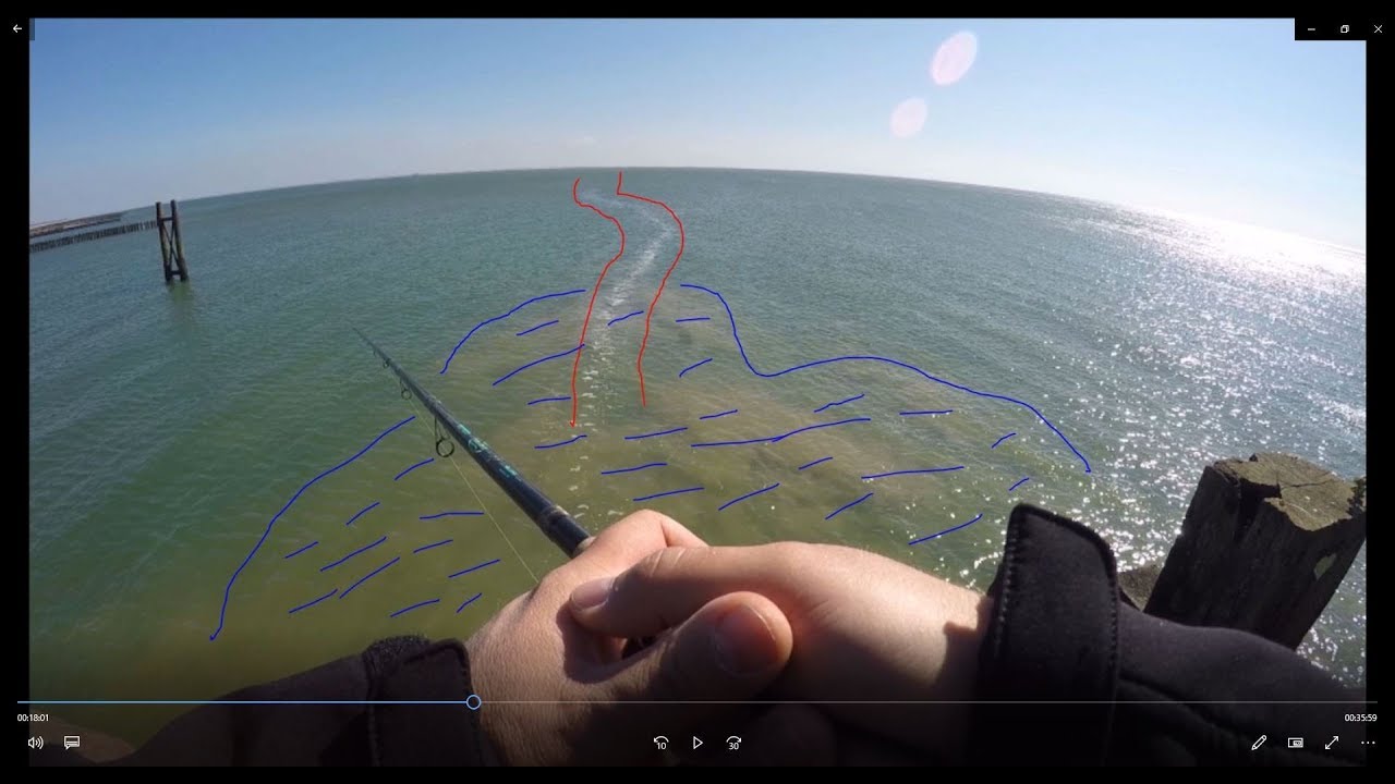 #23 Hornhechtangeln auf Zeeland  2019, Westkapelle, Zoutelande, Neeltje Jans und Ritthem