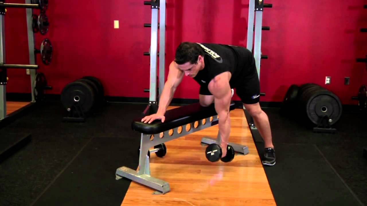 One Arm Dumbbell Row - Back Exercise - Bodybuilding.com