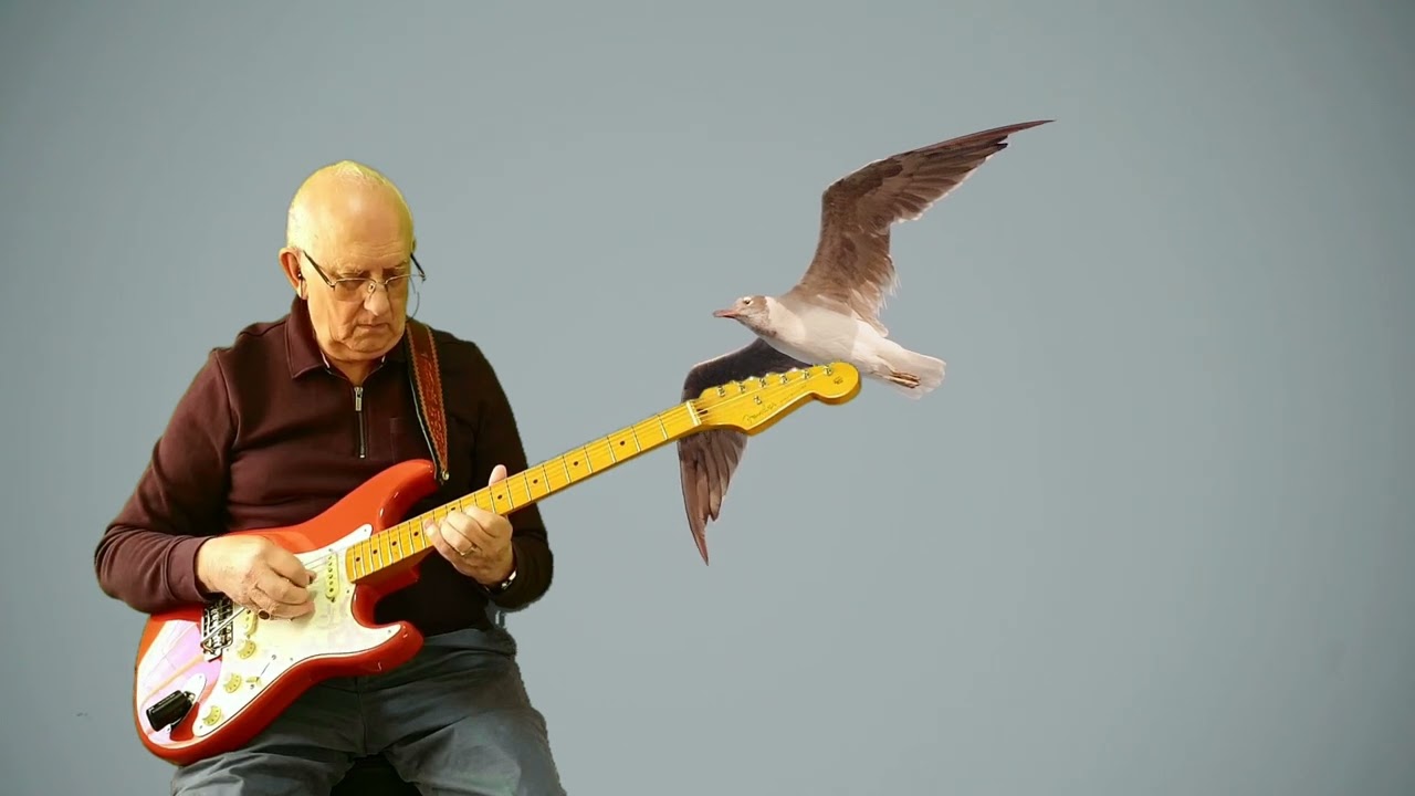 Silver Bird - Tina Rainford - instrumental cover by Dave Monk