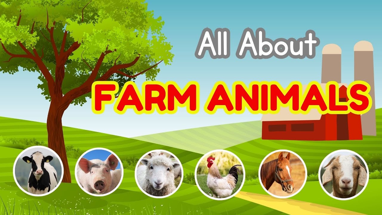 Farm Animals for Kids | Cows, Horses, Pigs, Sheep, Chickens & Goats