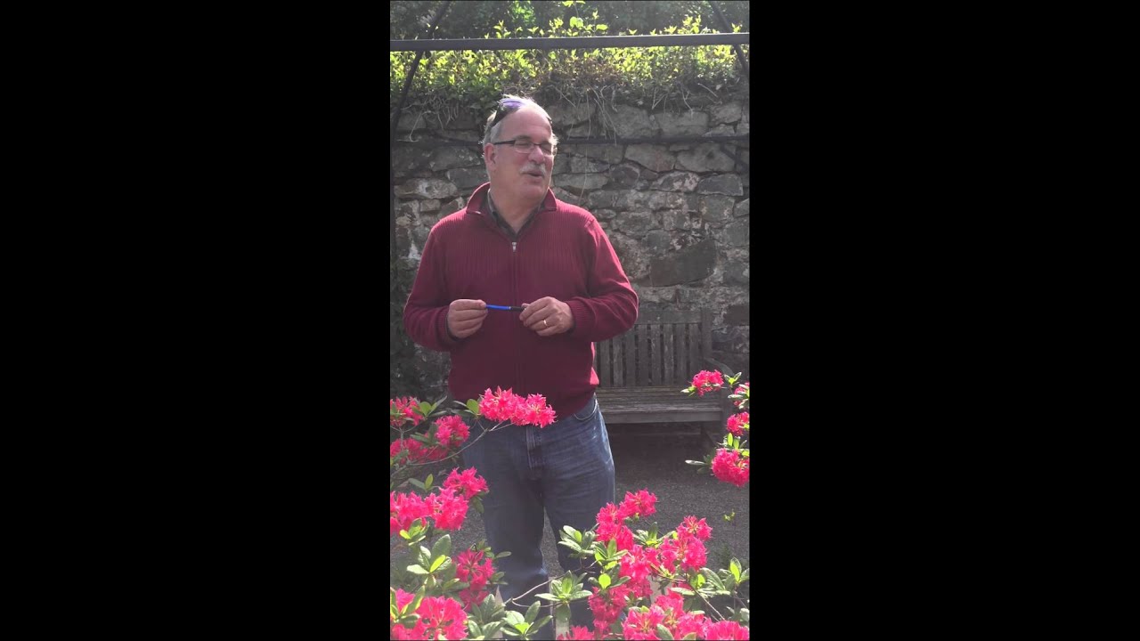 Interview With Markus Kobelt From Lubera