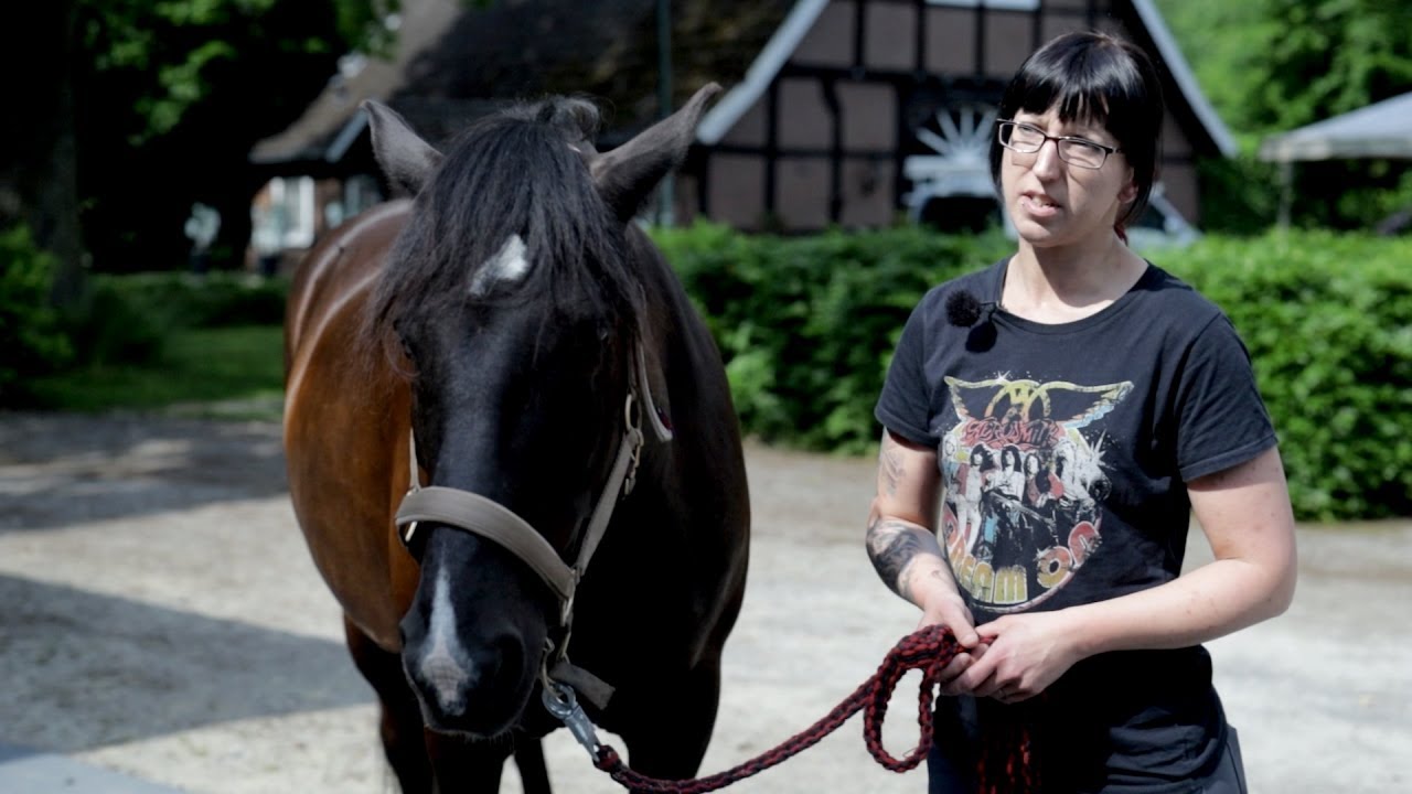 Junger Wallach seit Jahren lahm und Fachleute sehen es nicht - Balou zum Check bei Ariane Telgen