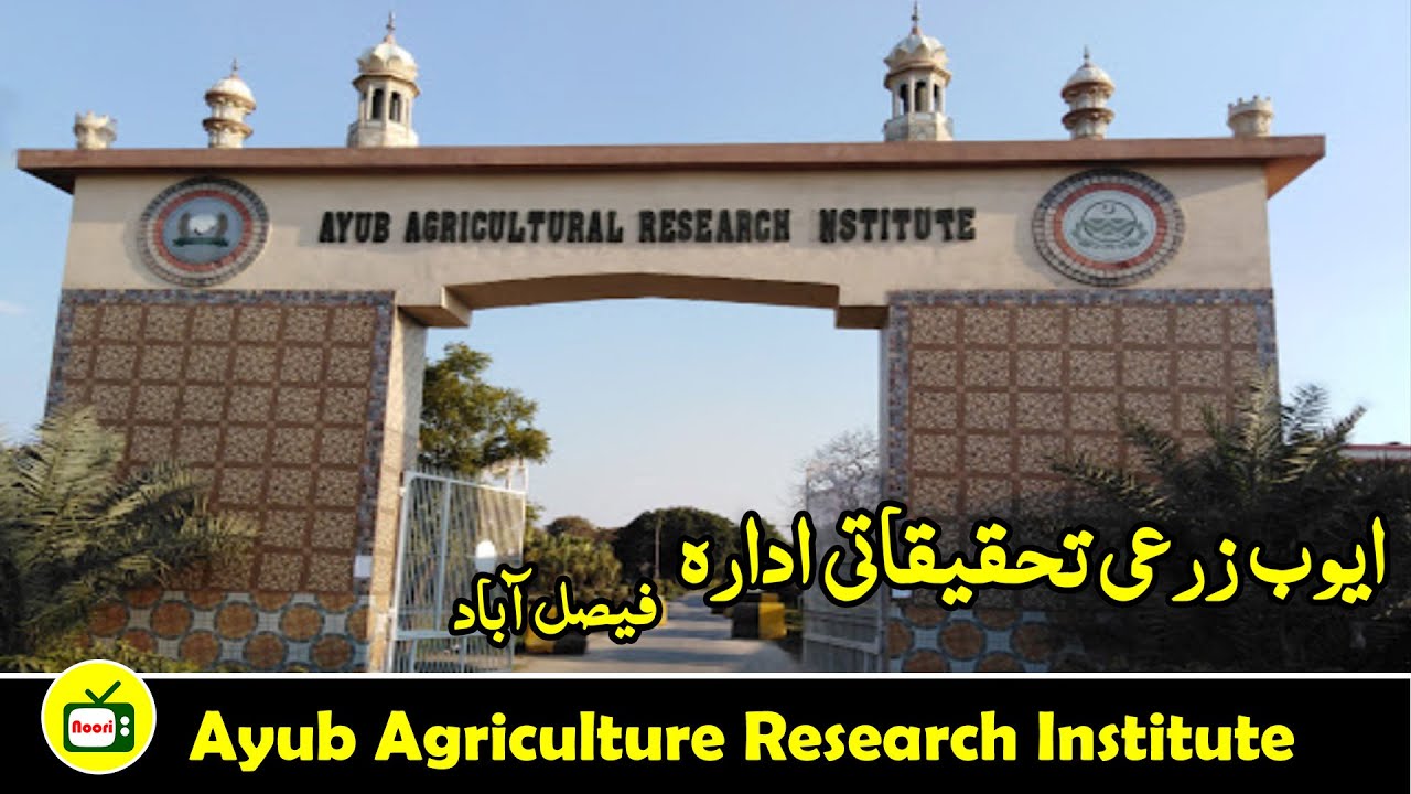 Overview: Ayub Agriculture Research Institute (AARI) Faisalabad | ایوب زرعی تحقیقاتی ادارہ فیصل آباد