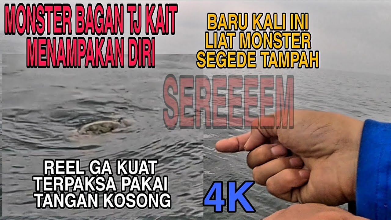 KEJADIAN LANGKA MONSTER TANJUNG KAIT KENA PANCING @Ngusepbaronangchannel RABBITFISH FISHING