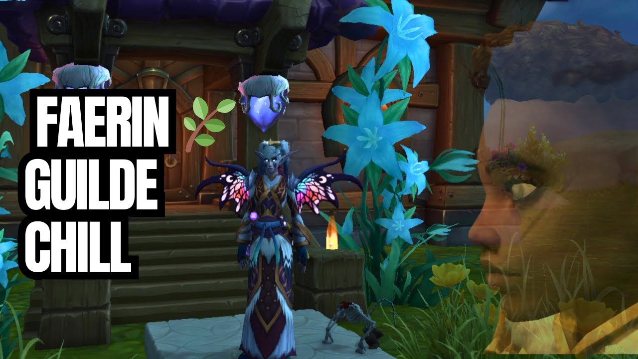 Gameplay chill sur WoW 🌿 | Guilde tranquille, respect & liberté avant tout endomiel elodie