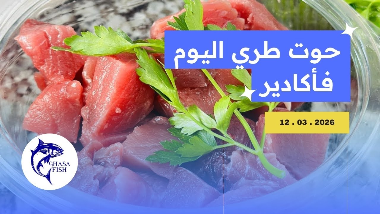 أثمنة السمك 🦐 اليوم الخميس 12 مارس 2026 