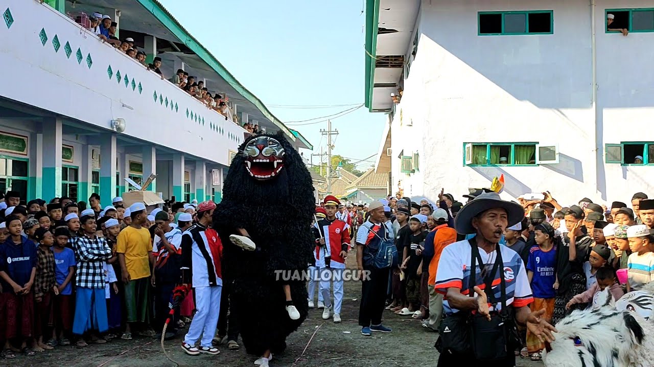 PONDOK PUTRA 🤗MACAN BARU!!!LIVE PP WALISONGO SITUBONDO | DRUMBAND CAN MACANAN BALAKEK HAMDIANS