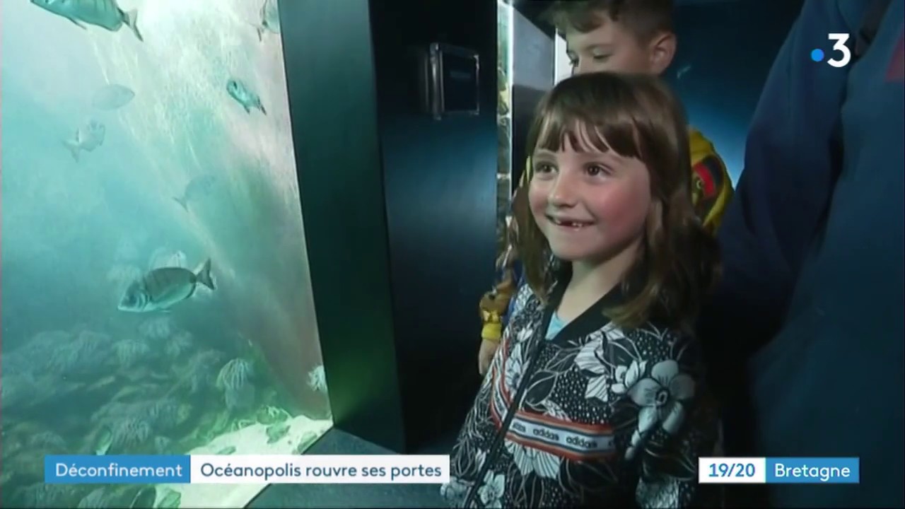 Brest : Océanopolis rouvre ses portes