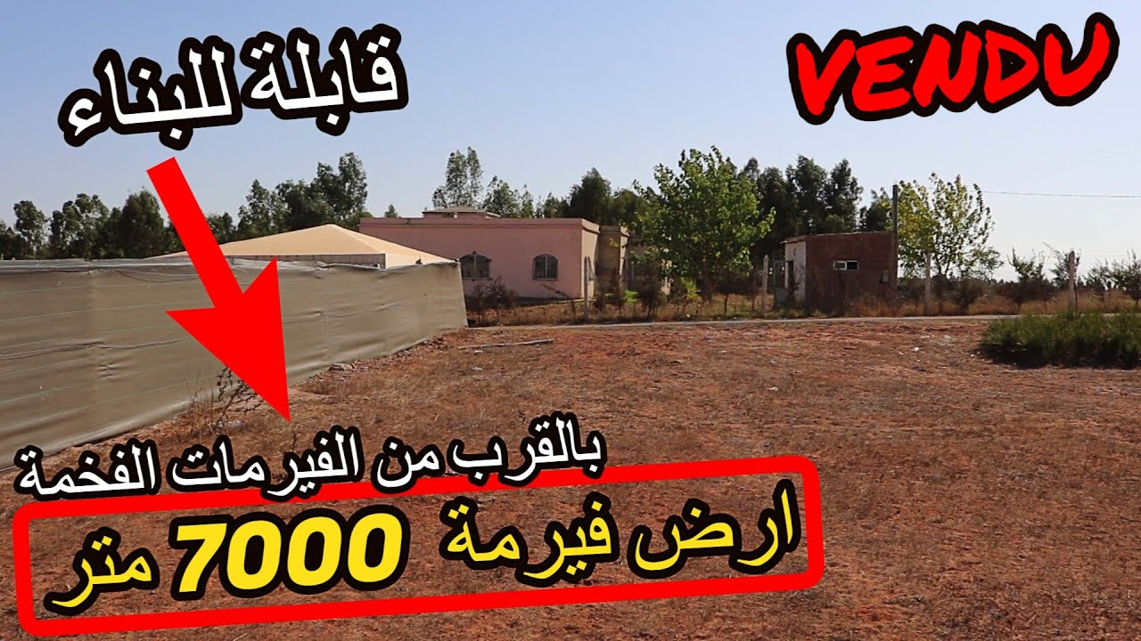 ✨ارض فلاحية 7000 متر بالقرب من الفيرمات والفلات الكبيرة بمنطقة رائعة قريبة من الطريق ✨ تيفلت