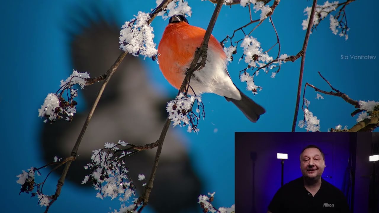 Подгон Фотоохотникам