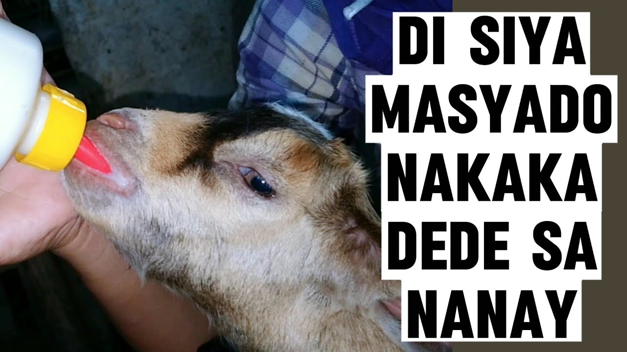 MAHINA na Sya magdede,may SOLUSYON‼️
