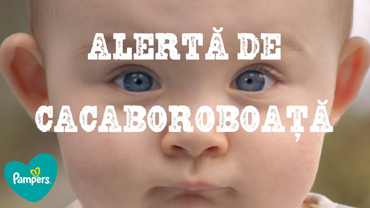 Încearcă scutecele-chiloțel Pampers Pants, rezistente la cacaboroboață