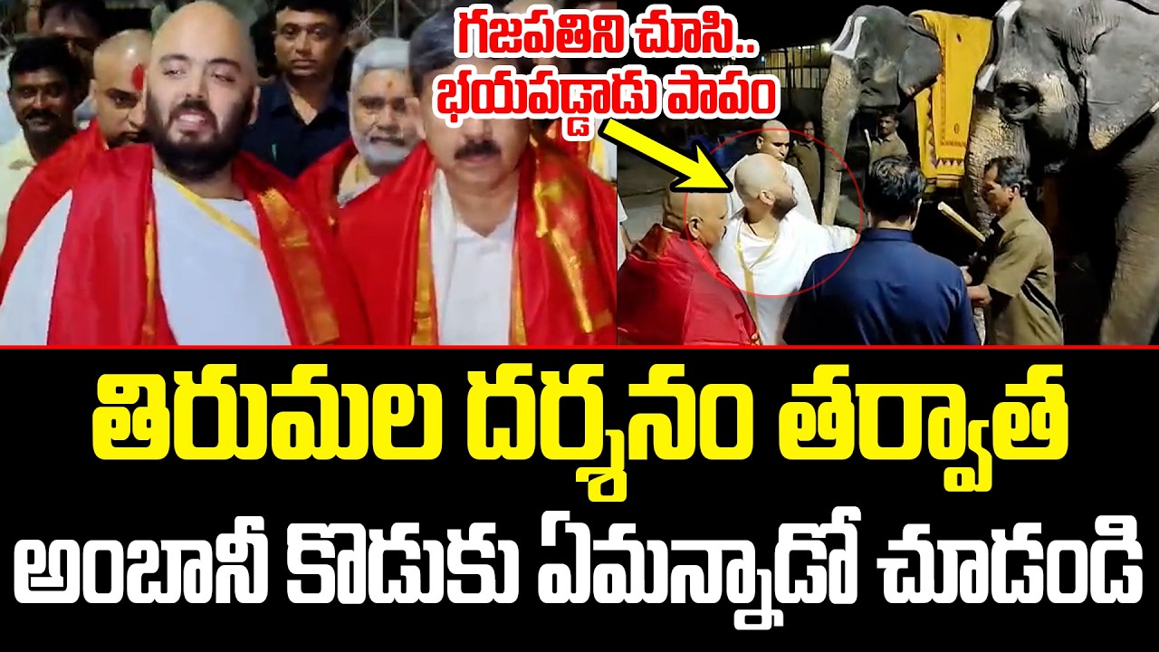He Was Scared Seeing the Elephant, Poor Him | Ambani Son At Tirumala | Ananth Ambani | ISM Telugu