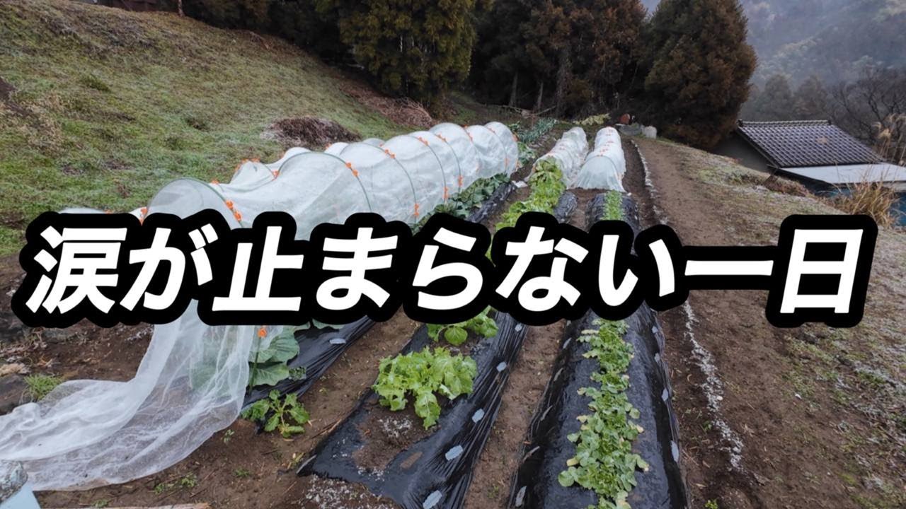 何気ない一日が｜忘れられない風景になった日