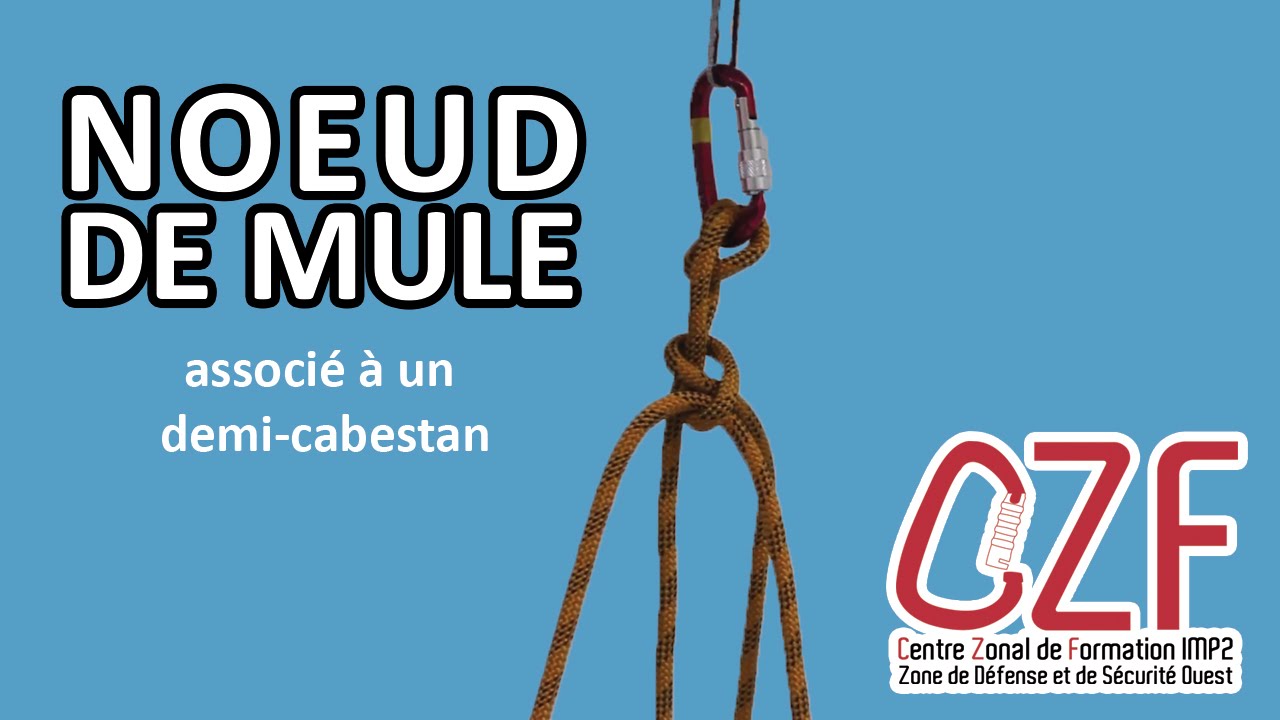 CZF-IMP2-ZDSO -1.1.06- Tutoriel n&oelig;ud de mule