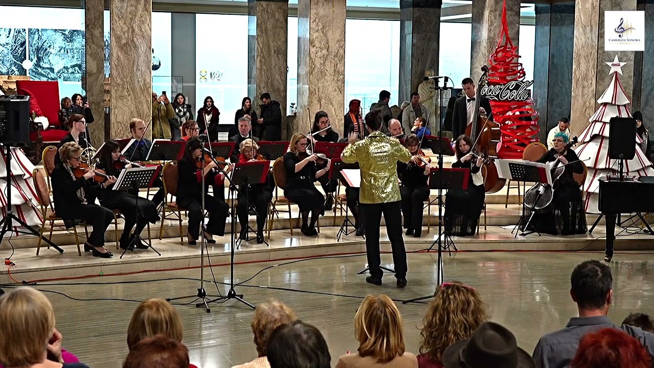 Ralph Vaughan Williams: Fantasia on Greensleeves - Camerata Sonora chamber orchestra
