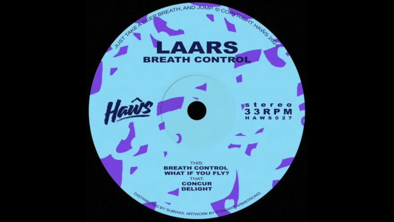 Laars - What If You Fly?