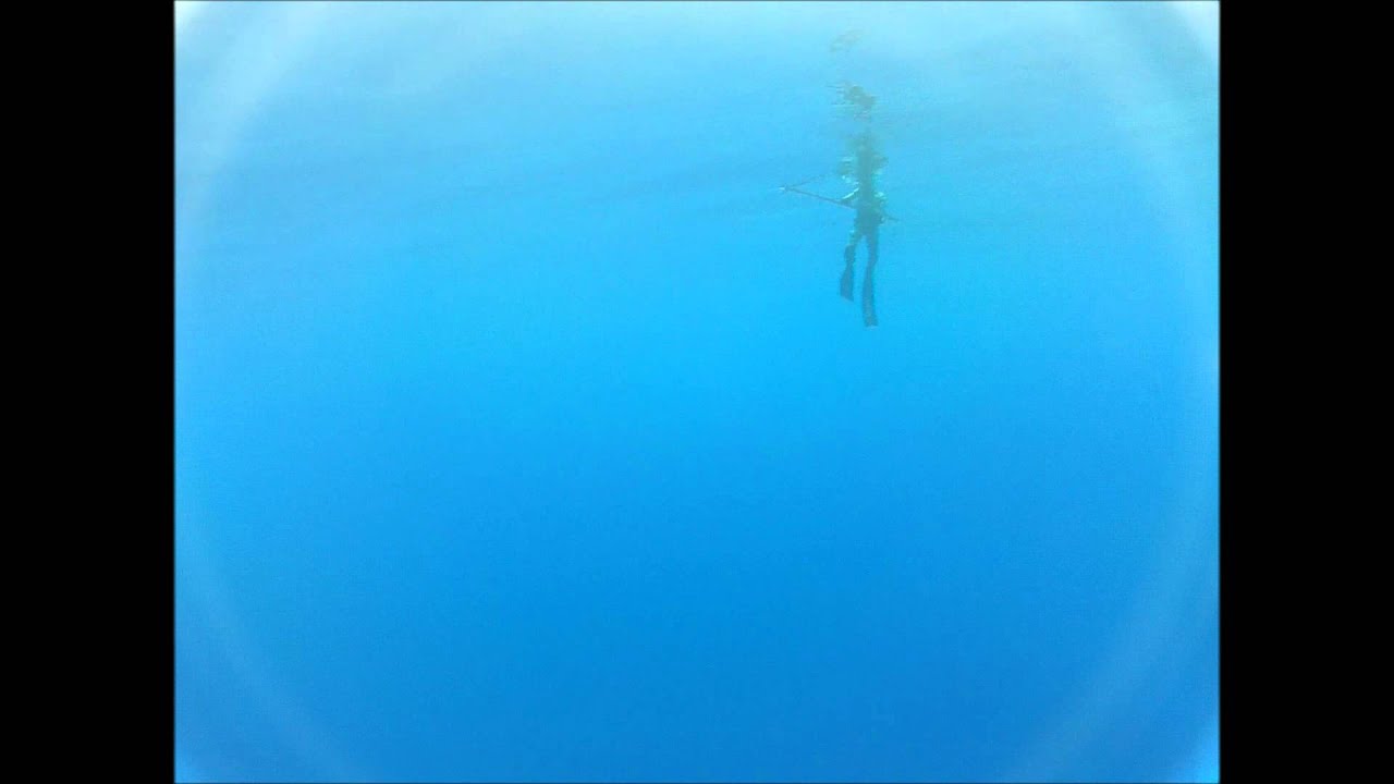 Spearfishing Wahoo Madeira 14 October 2012