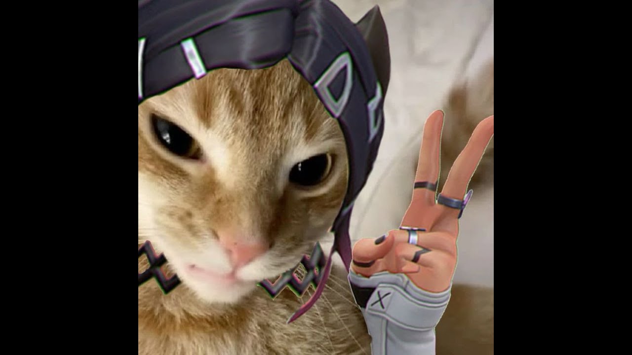 STREAM AGAIN