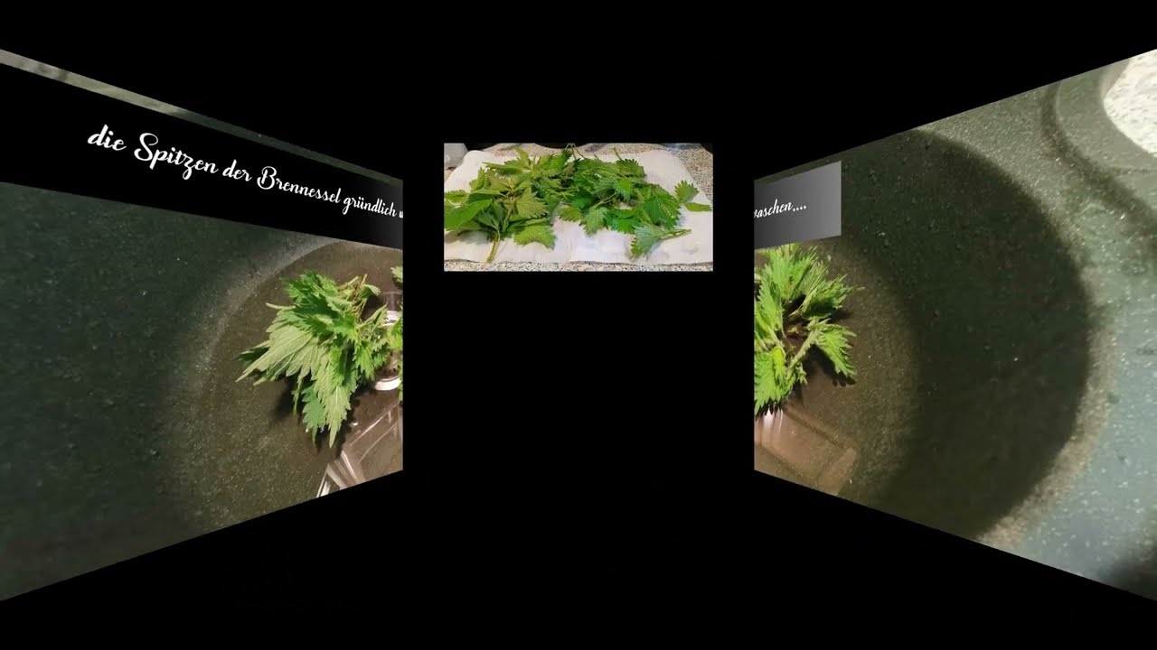 Brennesselsalz selber machen- Step by Step