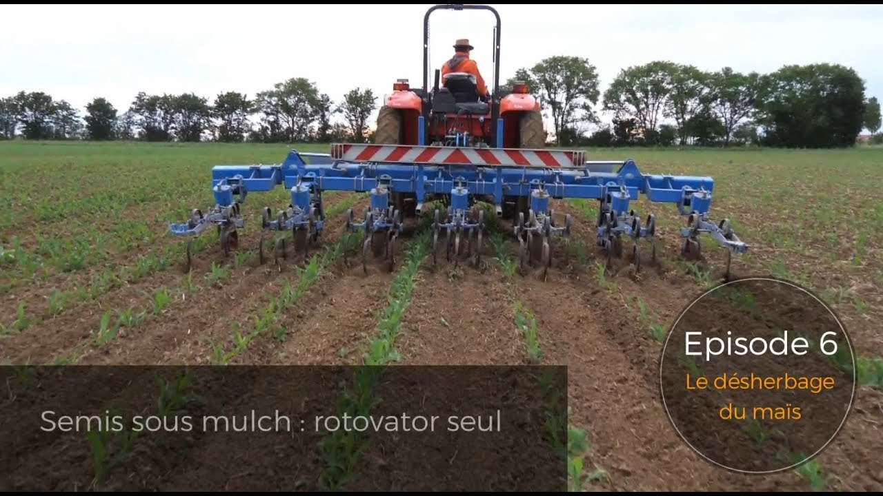 Épisode 6/7 - Le désherbage du maïs