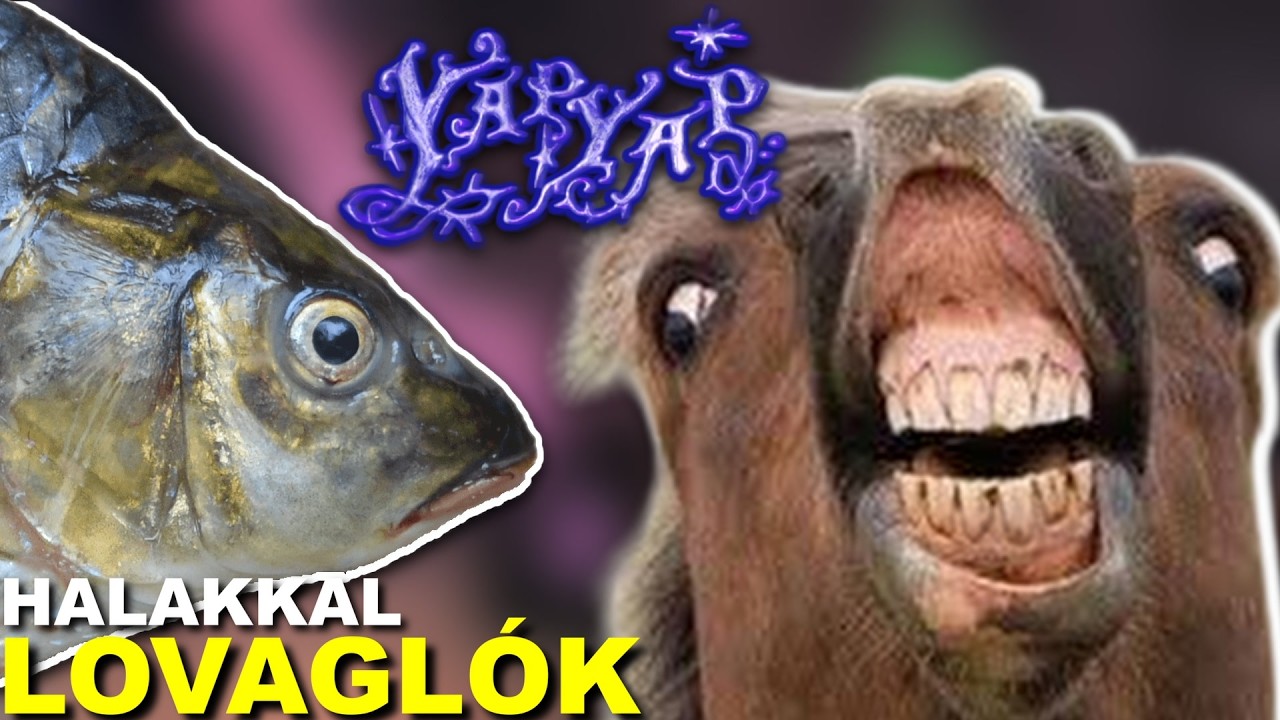 A HALAKKAL LOVAGLÓK | | YAPYAP Gurmiékkal #2