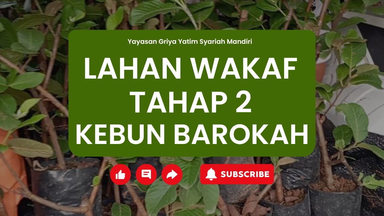 LAHAN WAKAF KEBUN BAROKAH TAHAP 2