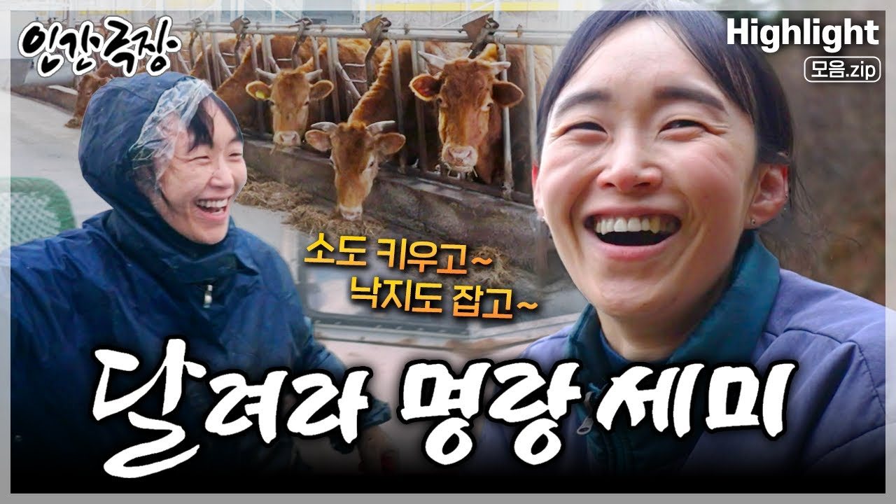 [인간극장★] 음대 캠퍼스 커플 부부가 강진으로 내려와 소와 두 아들을 키우며 밝게 살아가는 부부의 성장 드라마🐮💖 ‘달려라 명랑 세미’ | KBS 방송