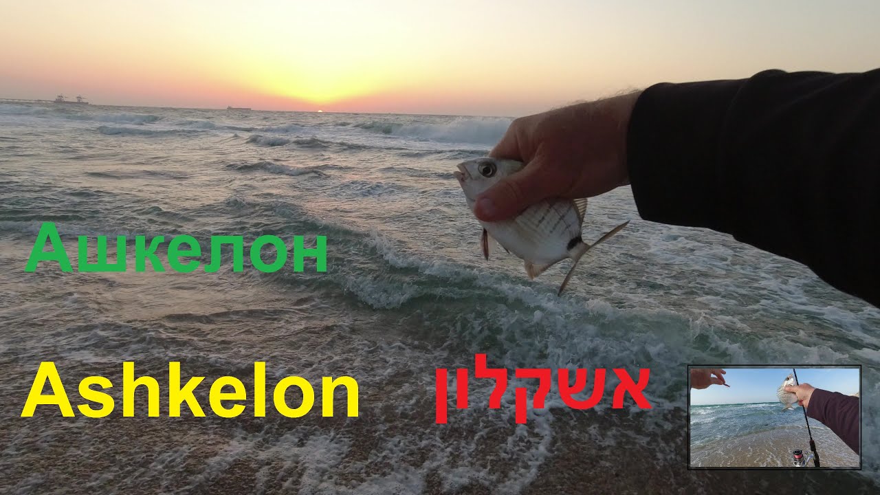 UL Spinning fishing Israel Ashkelon Рыбалка Израиль Ашкелон דיג אשקלון 13/10/2021